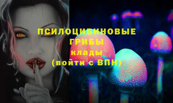 спиды Балахна