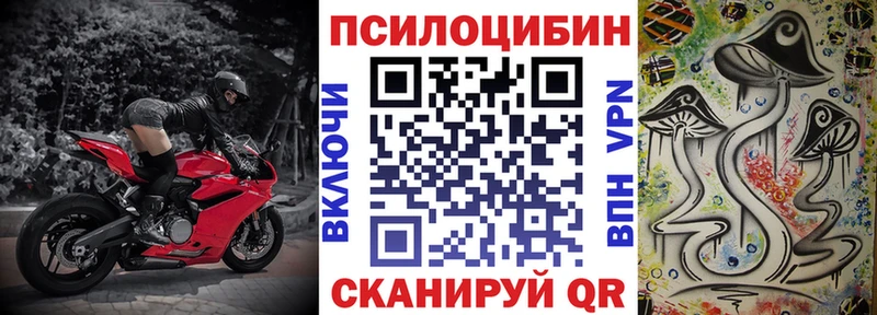купить наркотики цена  Власиха  Галлюциногенные грибы MAGIC MUSHROOMS 